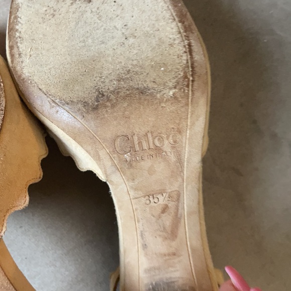 Chloe - Picture 5 of 6